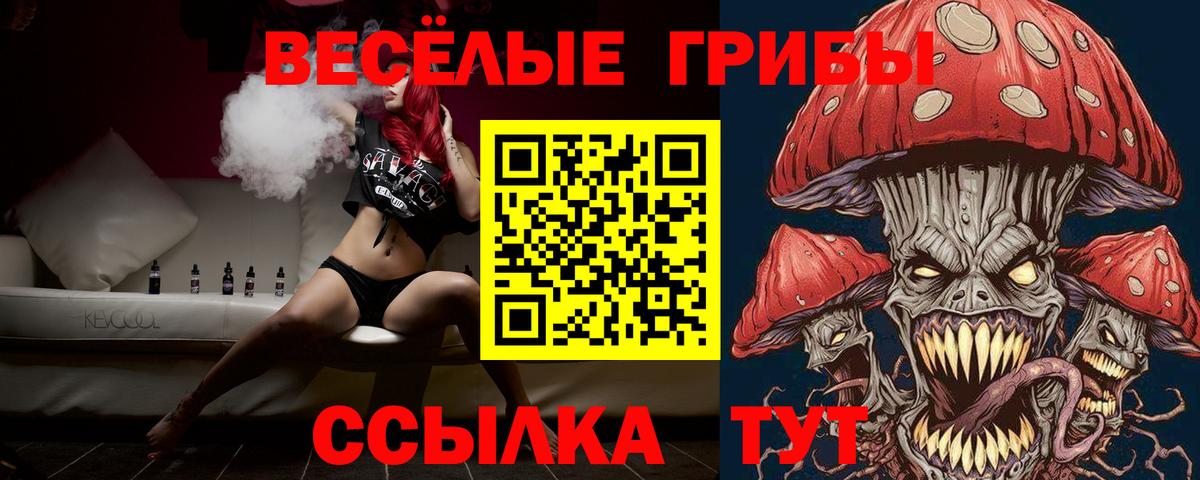 Псилоцибиновые грибы GOLDEN TEACHER Костомукша