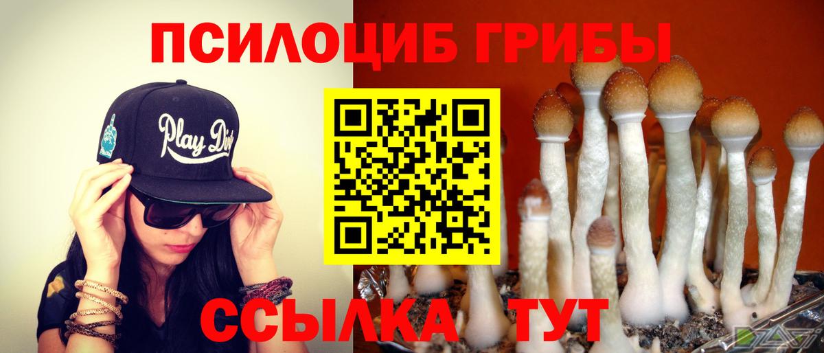 Галлюциногенные грибы мицелий  Галлюциногенные грибы Cubensis  Костомукша  Вход с VPN 